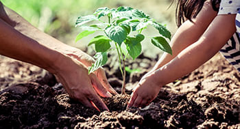 Práticas de Sustentabilidade