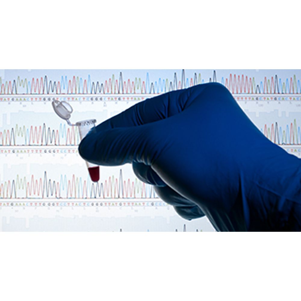 DNA Empreendedor: faça um teste e receba treinamento para ter