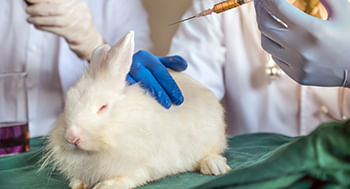 Genética Veterinária