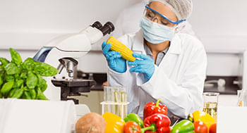 Princípio da Educação Alimentar