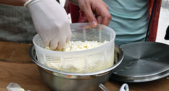 Como Fazer Queijo Minas