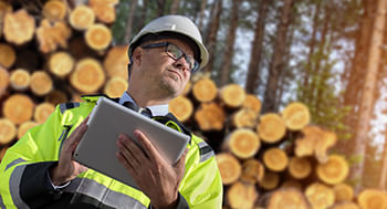 Certificacao-Florestal