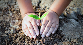 Ecologia