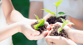 Meio Ambiente e Desenvolvimento Sustentável