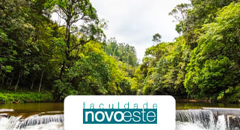 Ecologia, Ciências e Educação Ambiental