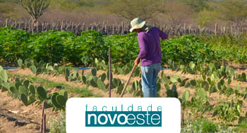 Educação e Movimentos Sociais, Questão Agrária e Ambiental