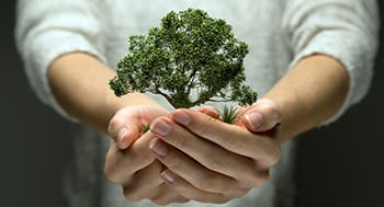 Thumb-Educacao-e-conscientizacao-ambiental2