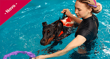 Introdução em Fisioterapia Veterinária