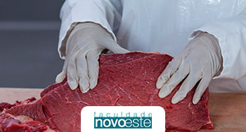Vigilância Sanitária e Manipulação de Alimentos in Natura