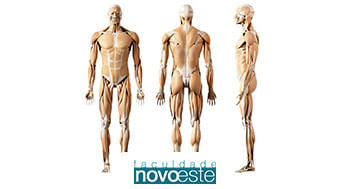 Bases Diagnósticas