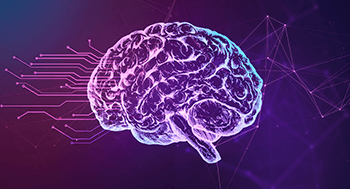 Neuroeducação na Prática