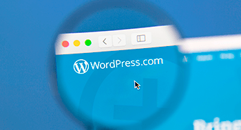 Wordpress Completo