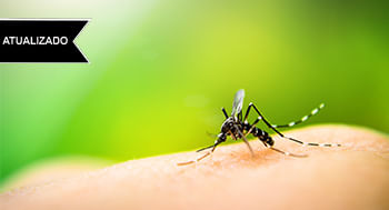 dengue