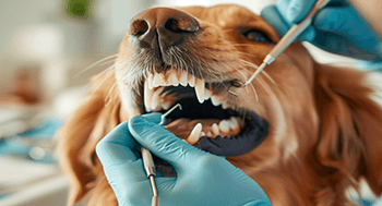 INTRODUCO-A-ODONTOLOGIA-VETERINArIA