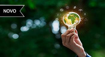 Inovação e Sustentabilidade nas empresas