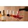 Conhecimentos-basicos-sobre-vinhos.jpg