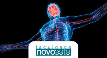 Polineuropatias e mobilização precoce