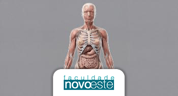 Anatomia e Fisiologia da Mulher