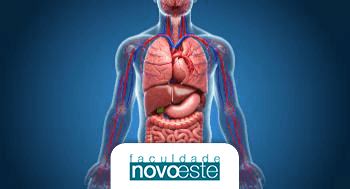 Anatomia-e-Fisiologia-Humana