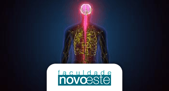 Bases morfológicas e funcionais do sistema nervoso