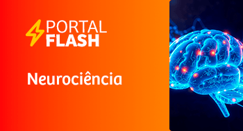 POR_2605_PORTAL_FLASH_THUMB_08