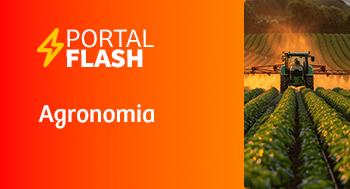 POR_2605_PORTAL_FLASH_THUMB_13
